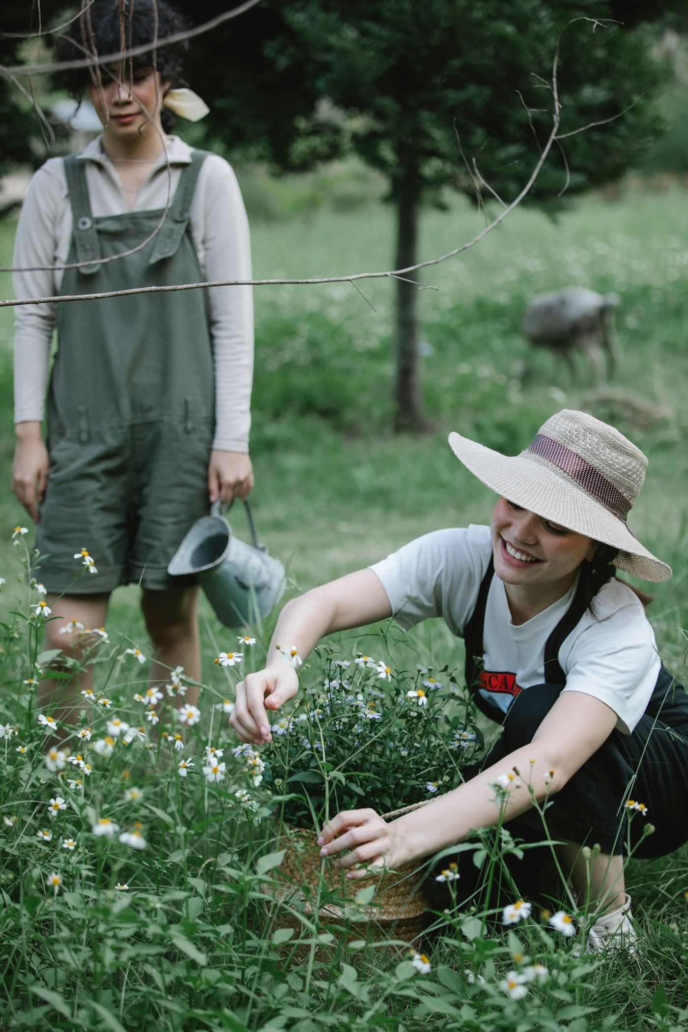 Smiling woman collecting flowers in lawn with assistant — illustrative Pexels photograph