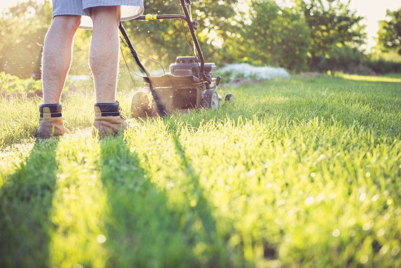 A Person Mowing the Lawn — illustrative Pexels photograph